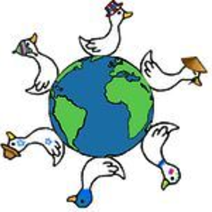 Contact logo